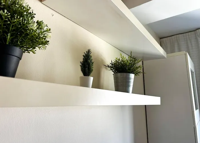 Apartament Super Luminoso